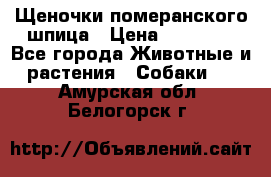 Щеночки померанского шпица › Цена ­ 25 000 - Все города Животные и растения » Собаки   . Амурская обл.,Белогорск г.